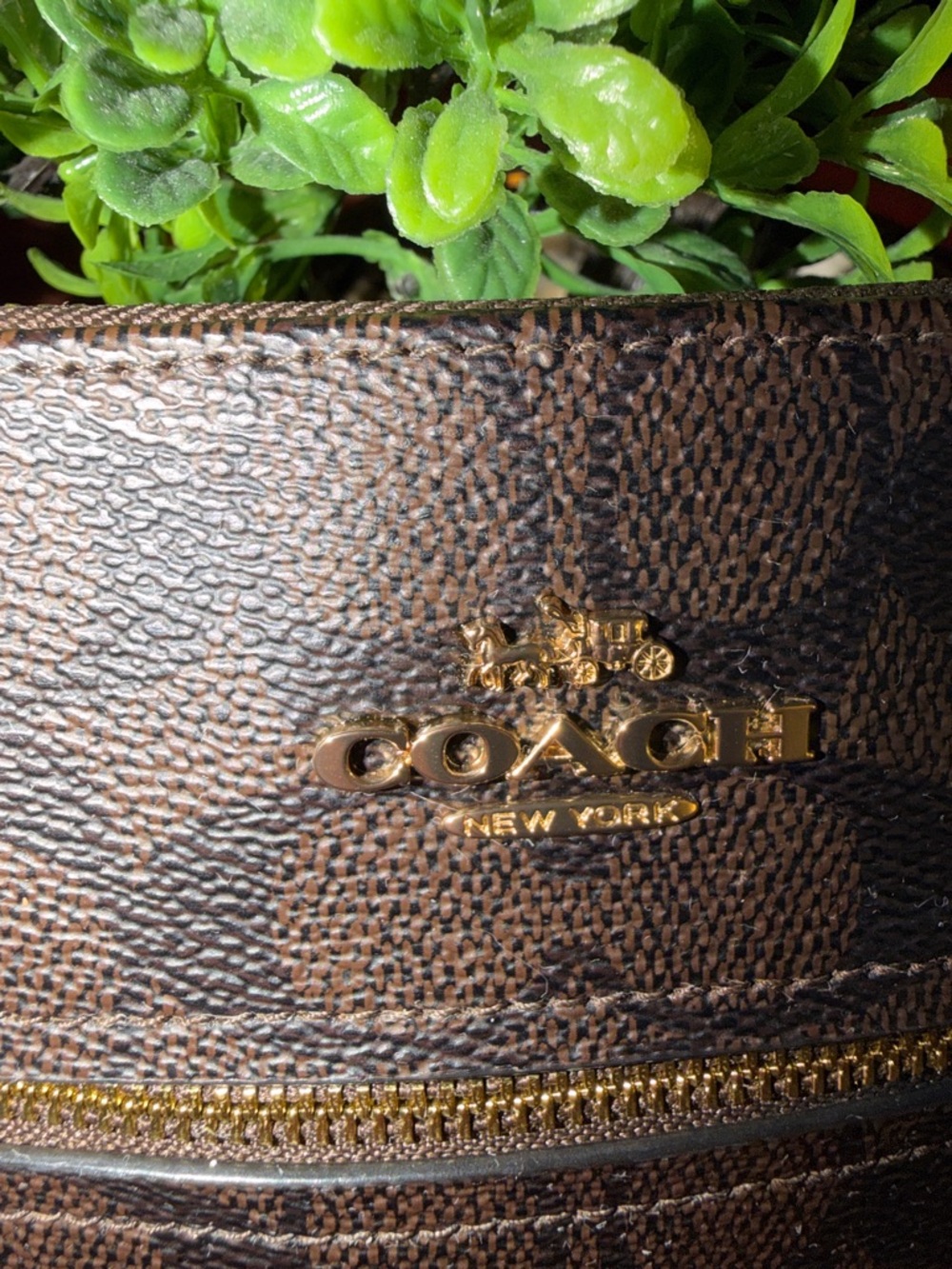 Coach Brown Signature Crossbody with Cherry Charm - Picture 11 of 16